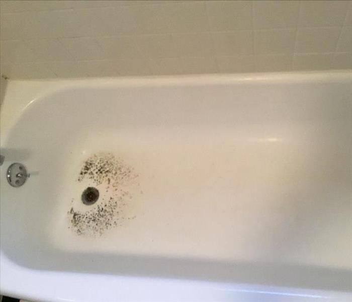 A residue of black sewage backup inside a bathtub