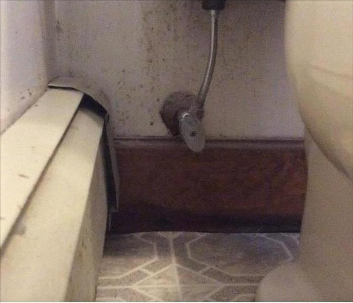 Mold growth on the wall and the surface of a baseboard heater behind a toilet near the supply valve