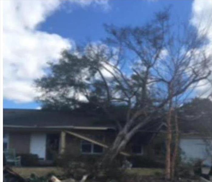 Front view of a home with a fallen tree resting on the roof.  The gutter has been torn off and the roof is severely damaged.