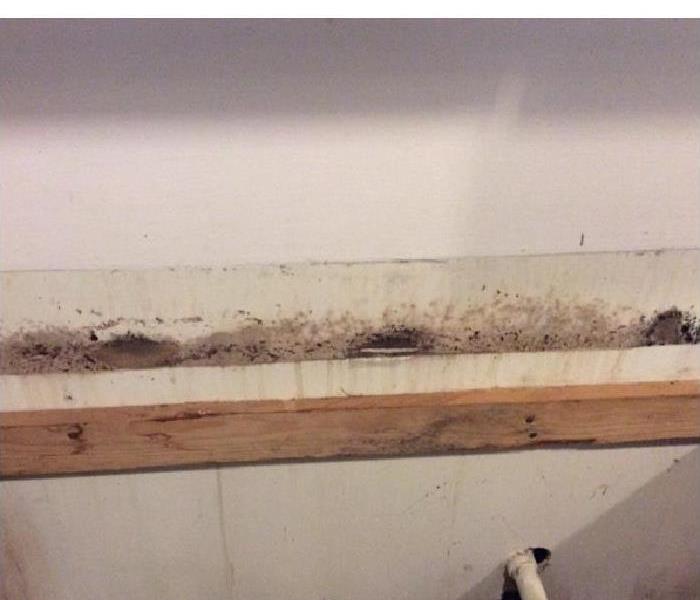 Mold growth on drywall and wood structural materials in a wall.