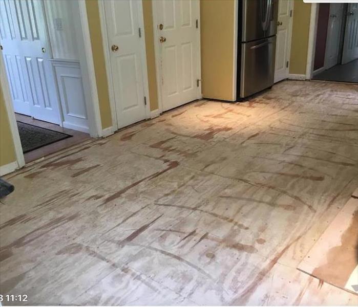 A kitchen with all furniture, cabinets, appliances and flooring removed to remediate mold from moisture under the flooring